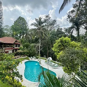 https://tranquil-resort.kerala-hotels.net